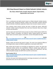 2014 Deep Research Report on Global Hydraulic Cylinder Industry.docx