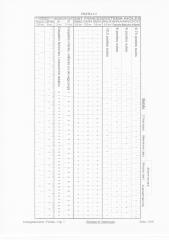 Tabela de Medidas para Calçados.pdf