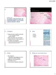 Tecidos Conjuntivos de Propriedades Especiais osso e cartilagem pb 6.pdf
